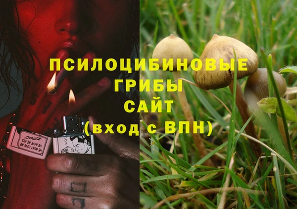 индика Алексеевка