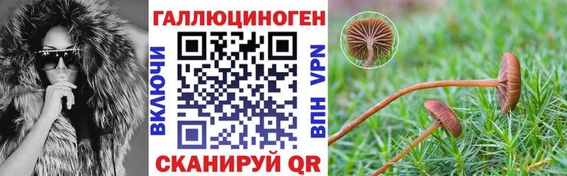 Псилоцибиновые грибы MAGIC MUSHROOMS  продажа наркотиков  Югорск 